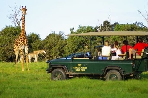 Готель Kragga Kamma Game Park Порт-Елізабет Екстер'єр фото