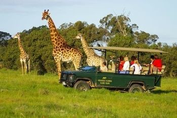 Готель Kragga Kamma Game Park Порт-Елізабет Екстер'єр фото